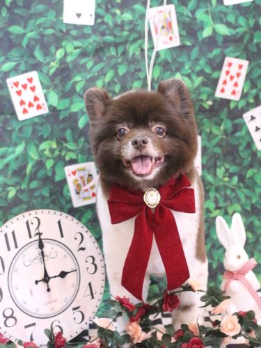 20250424太郎くん